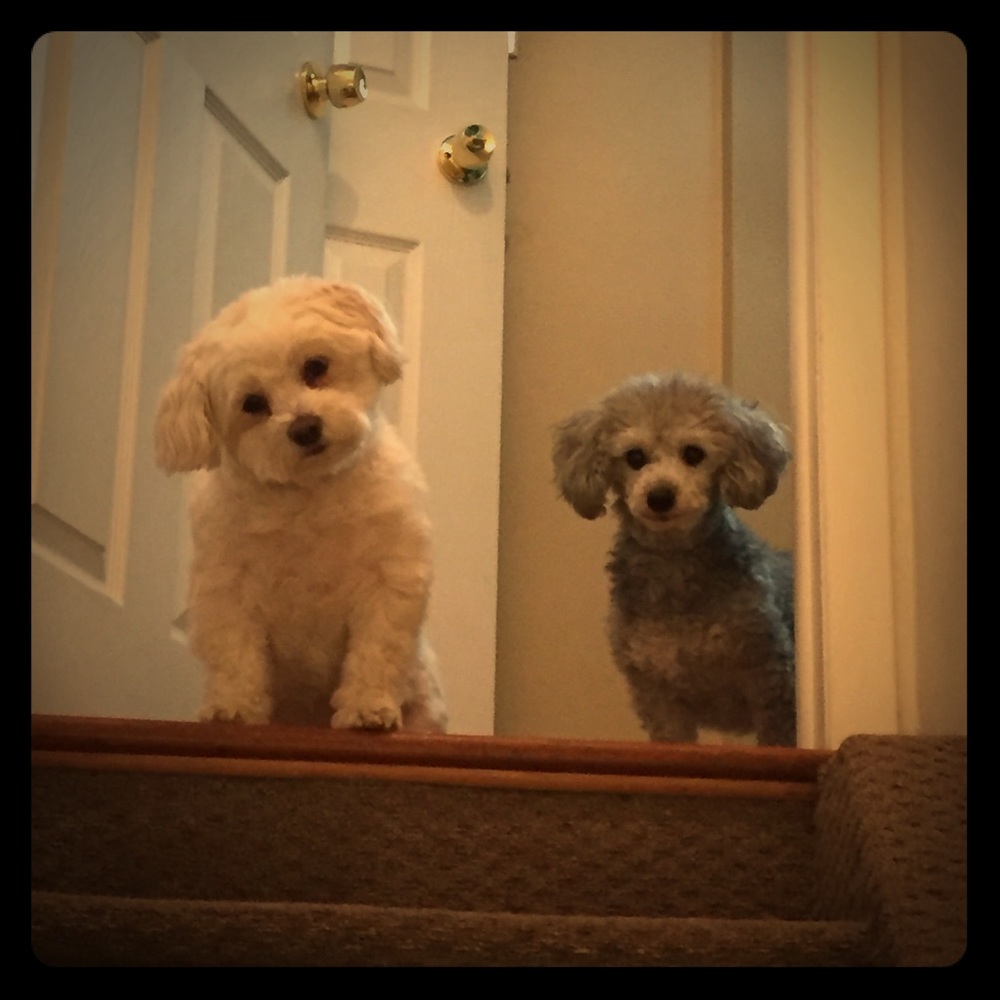 Meet your Posher, Deborah